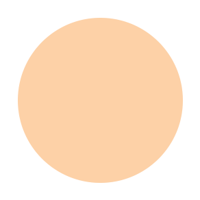 Beauty Stix Foundation