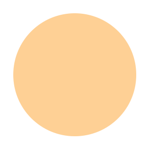 Beauty Stix Foundation