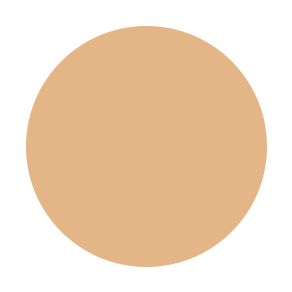 Dual Powder