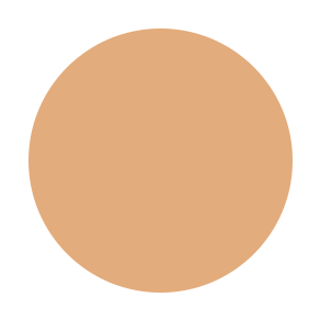 Beauty Stix Foundation