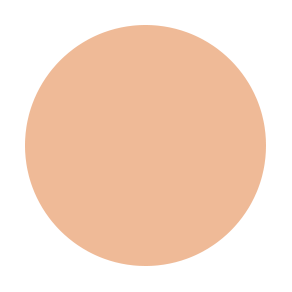 Beauty Stix Foundation